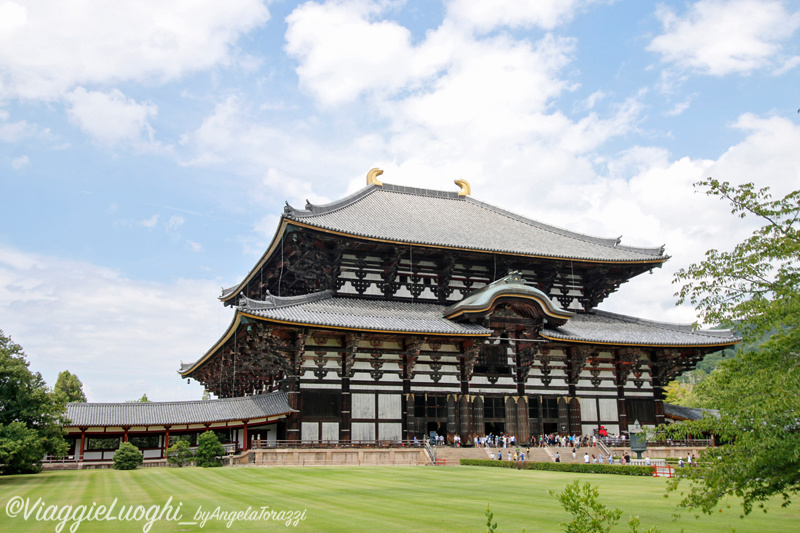 Giappone Aug 2019-3204 Nara