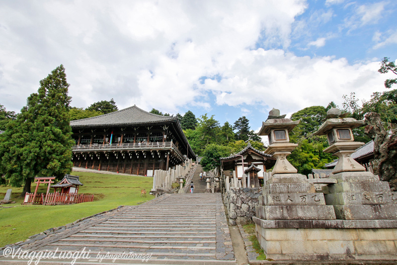 Giappone Aug 2019-3300 Nara