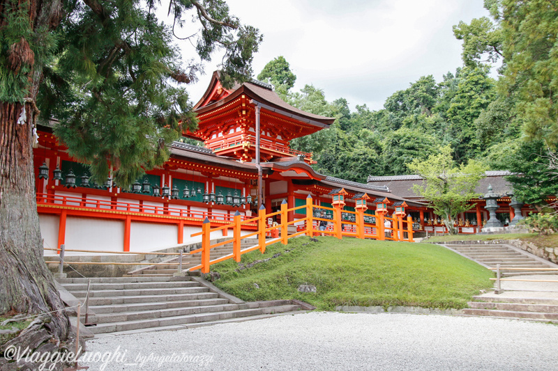 Giappone Aug 2019-3380 Nara