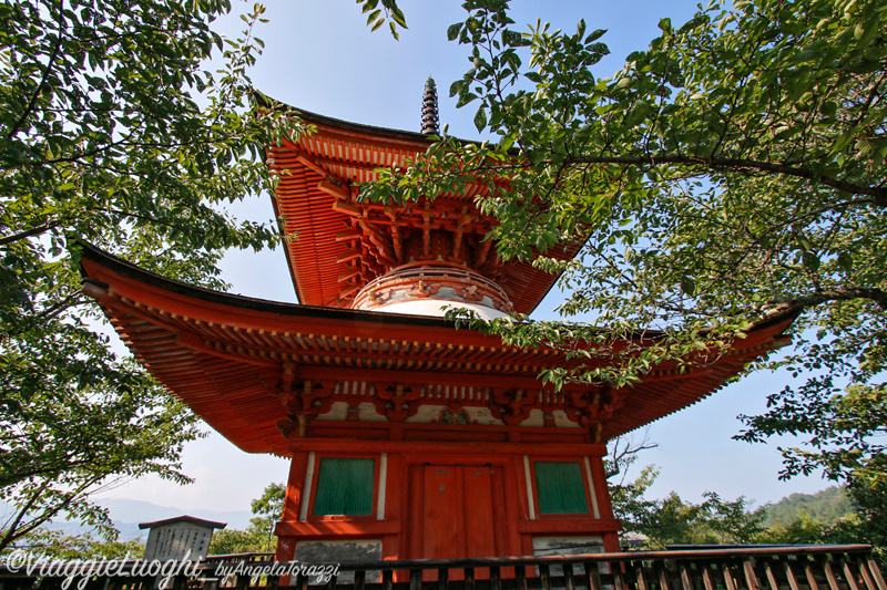 Giappone Aug 2019-3736x(3627) Miyajima