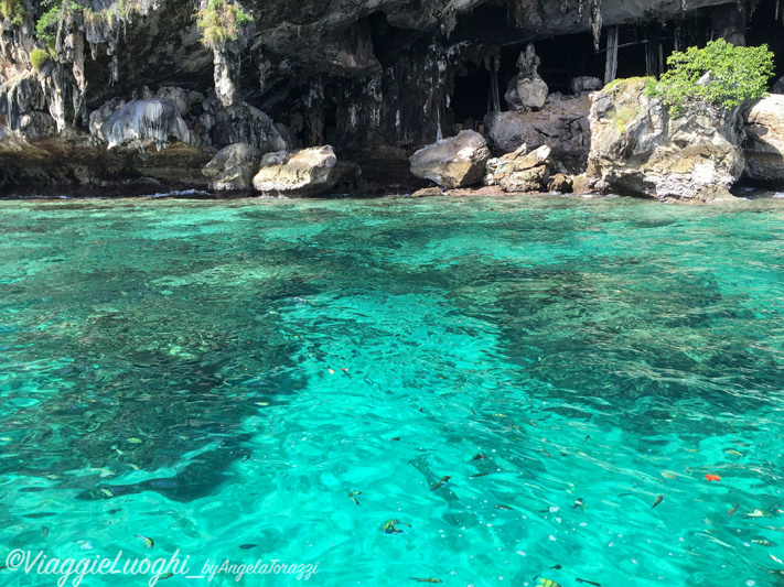 Thailandia Phi Phi Island 9