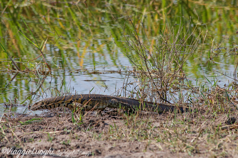 Ruanda Akagera 25