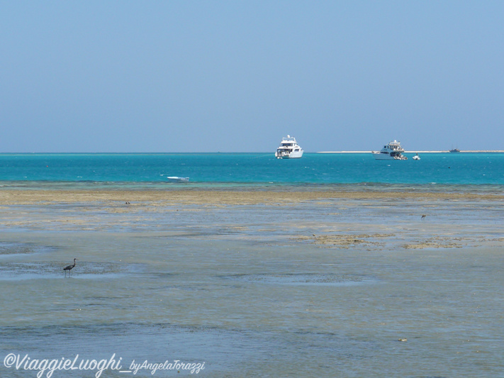 Marsa Alam sep ’12 11