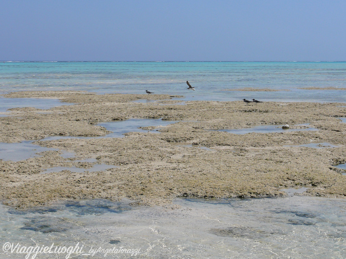 Marsa Alam sep ’12 2