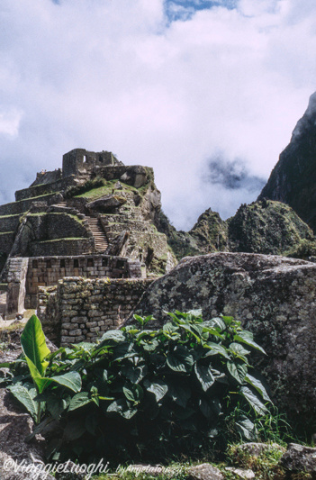 Peru’ Inca Trail Machu Pichu 7