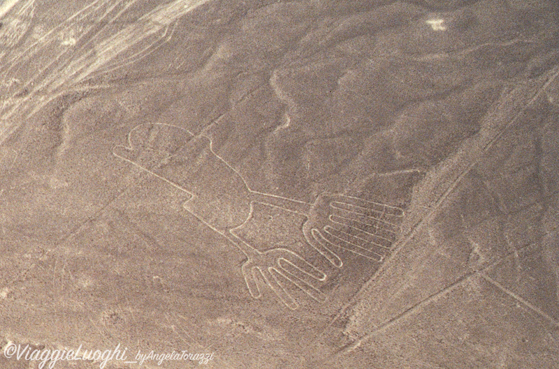 Peru’ Nazca (29b)