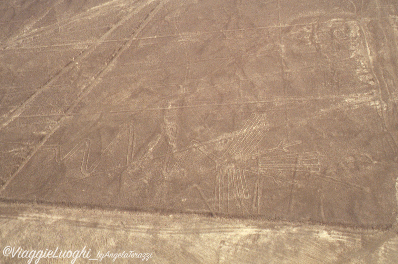 Peru’ Nazca (31b)