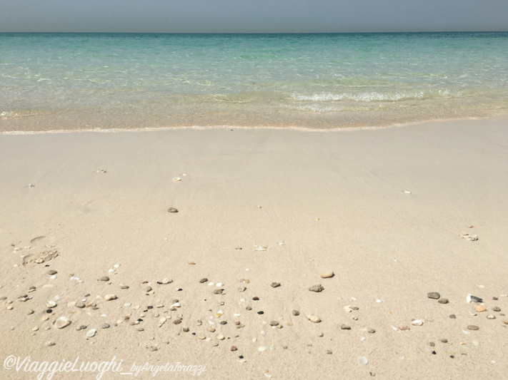 Abu Dhabi Saadiyat 13