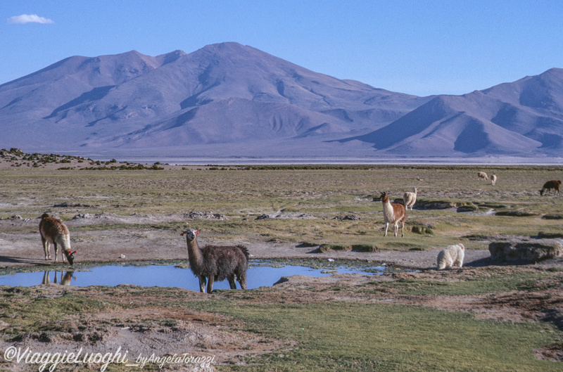 Bolivia (20c)