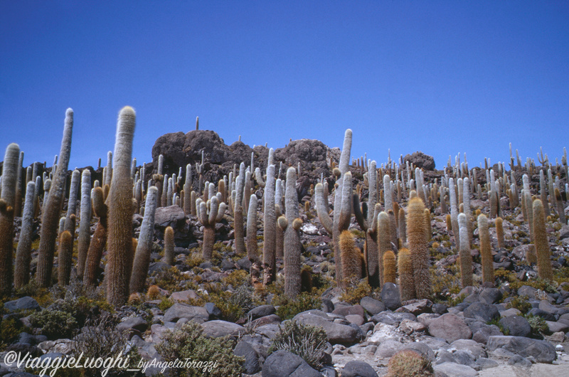 Bolivia (29b)Salar Uyuni