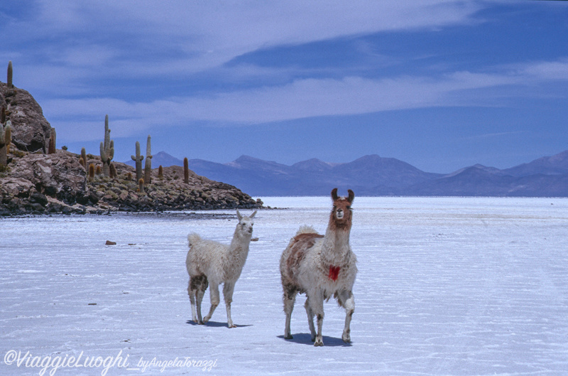 Bolivia (33b)Salar Uyuni