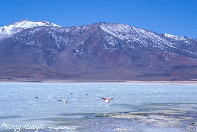 Bolivia (7)