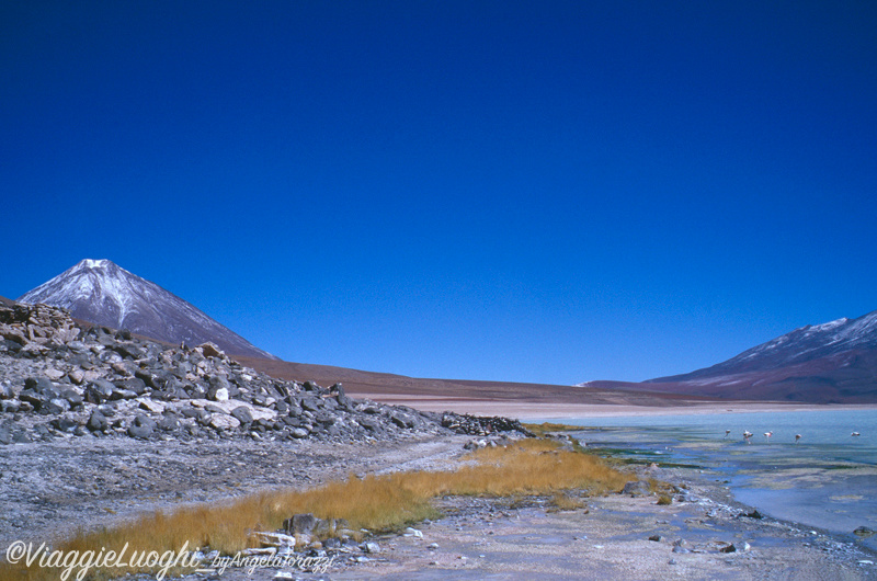 Bolivia (8)