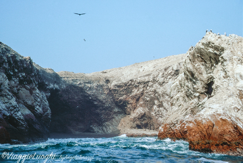 Peru’ Ballestas(10b)