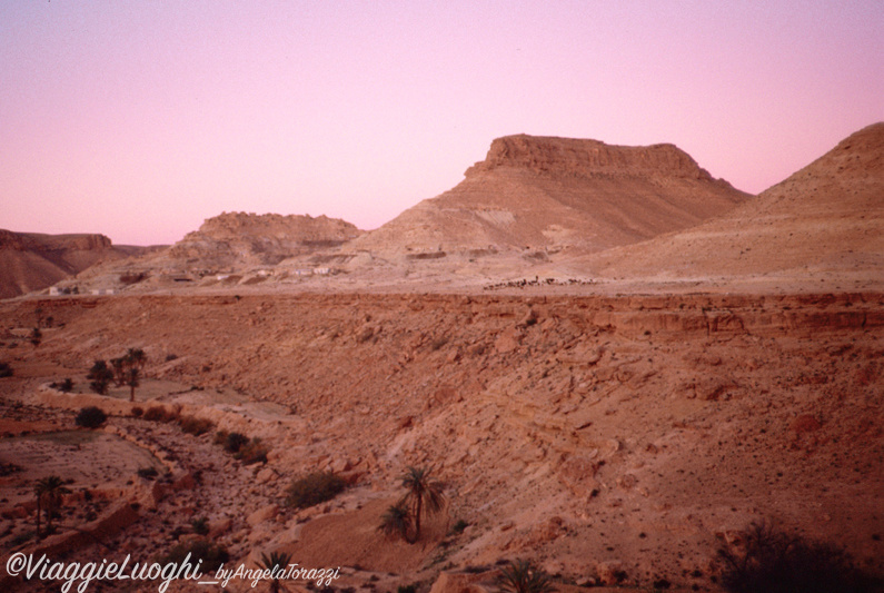 Tunisia Jan 88 061b