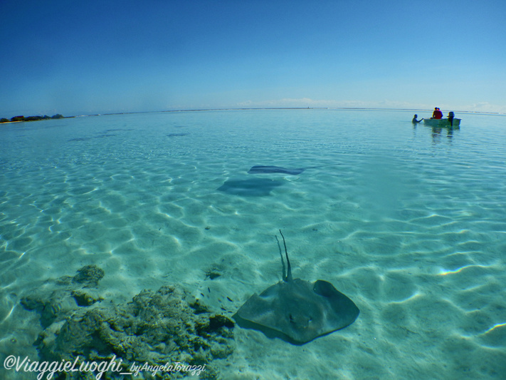 6 Polinesia Moorea Agosto 2017 sub-970