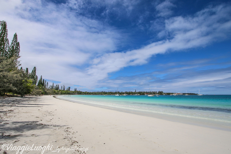 Nuova Caledonia Isola dei Pini Dec 2015-2173