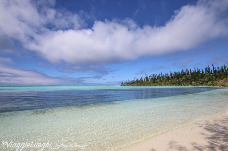 Nuova Caledonia Isola dei Pini Dec 2015-2394