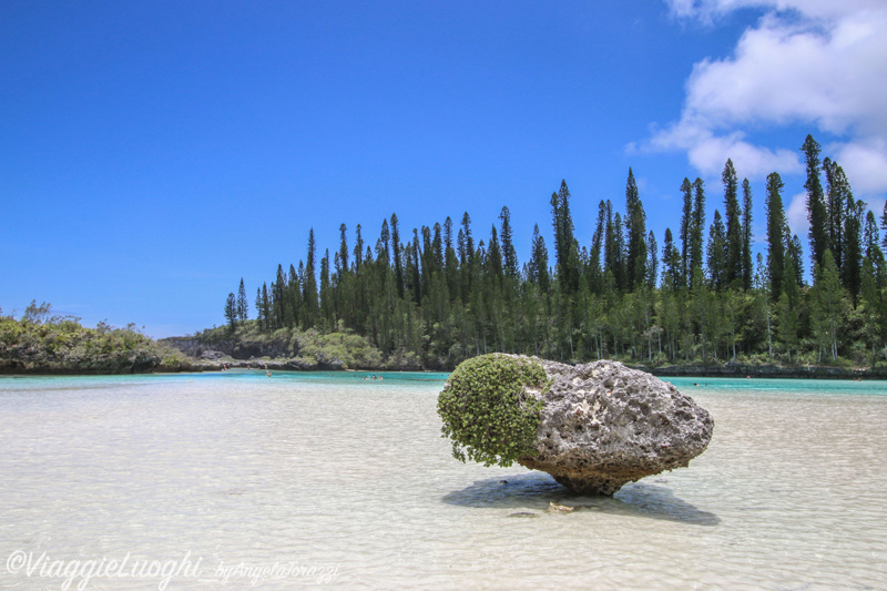 Nuova Caledonia Isola dei Pini Dec 2015-2609