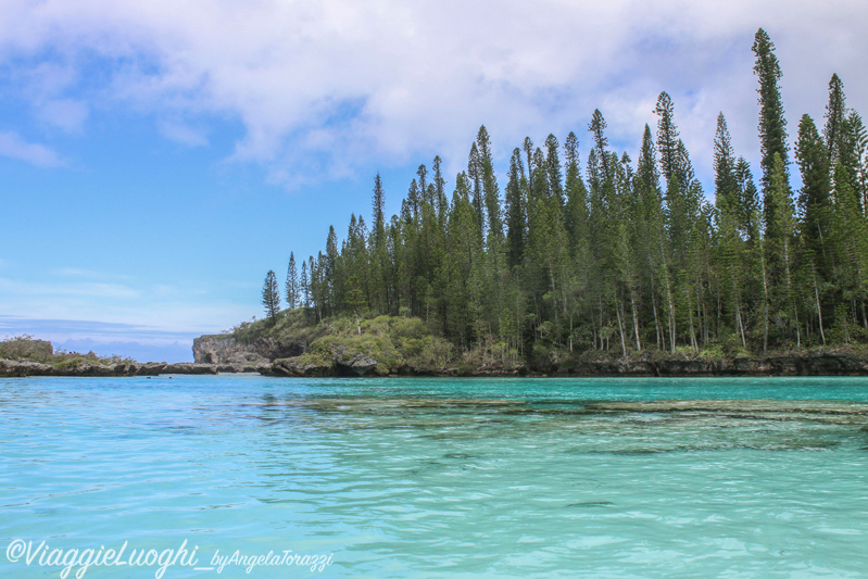 Nuova Caledonia Isola dei Pini Dec 2015-2625