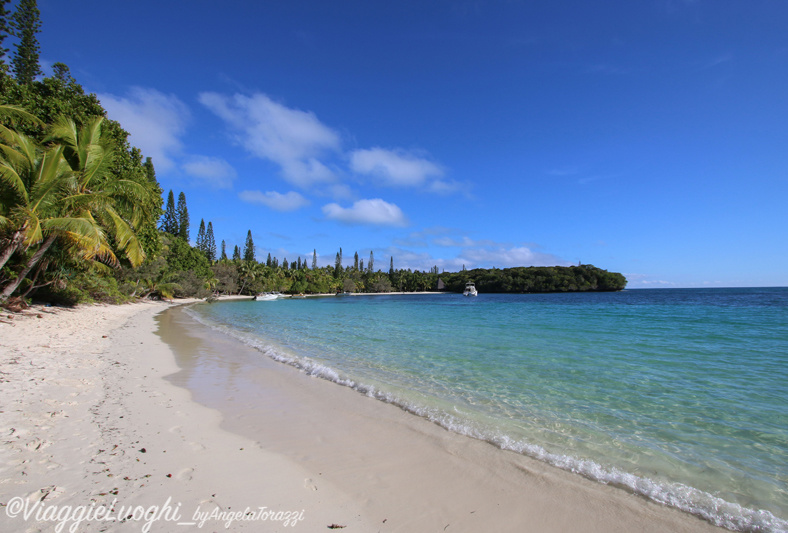 Nuova Caledonia Isola dei Pini Dec 2015-2690