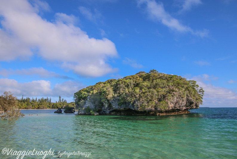 Nuova Caledonia Isola dei Pini Dec 2015-2701