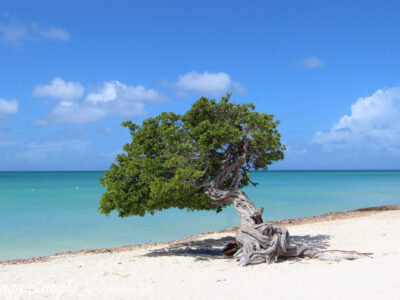 Aruba