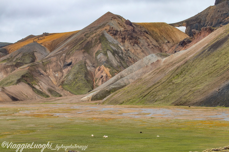 Islanda LandmannalaugarAug 2015-3476