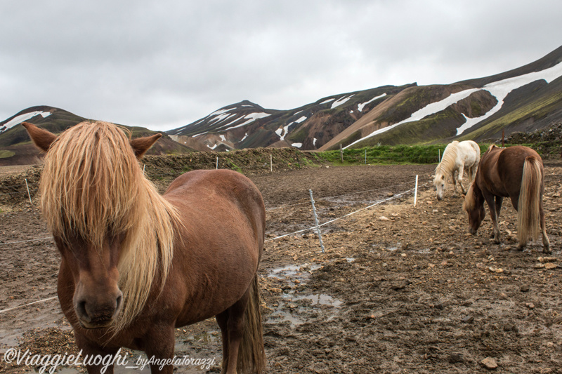 Islanda LandmannalaugarAug 2015-3597