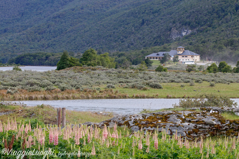 Patagonia Dec 2019 -121 Lapataia