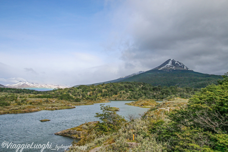 Patagonia Dec 2019 -172 Lapataia