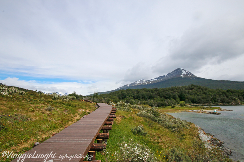 Patagonia Dec 2019 -258 Lapataia