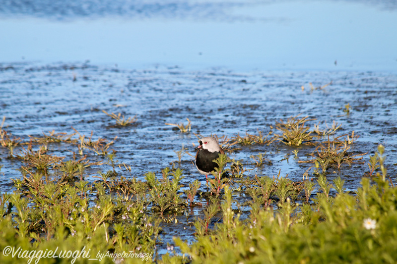 Patagonia Dec 2019 -2608