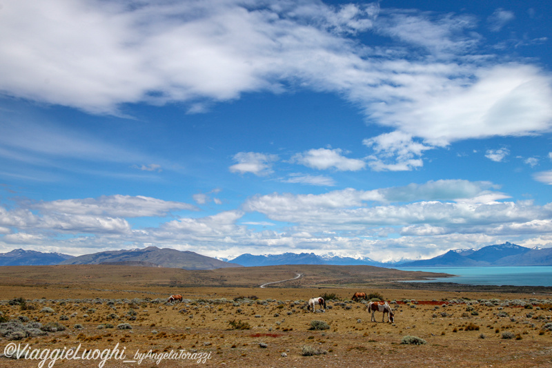 Patagonia Dec 2019 -2969