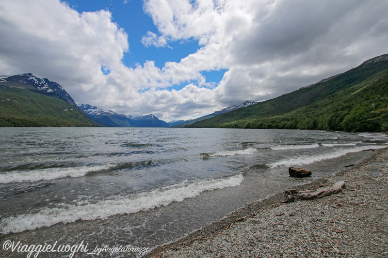 Patagonia Dec 2019 -394 Lapataia