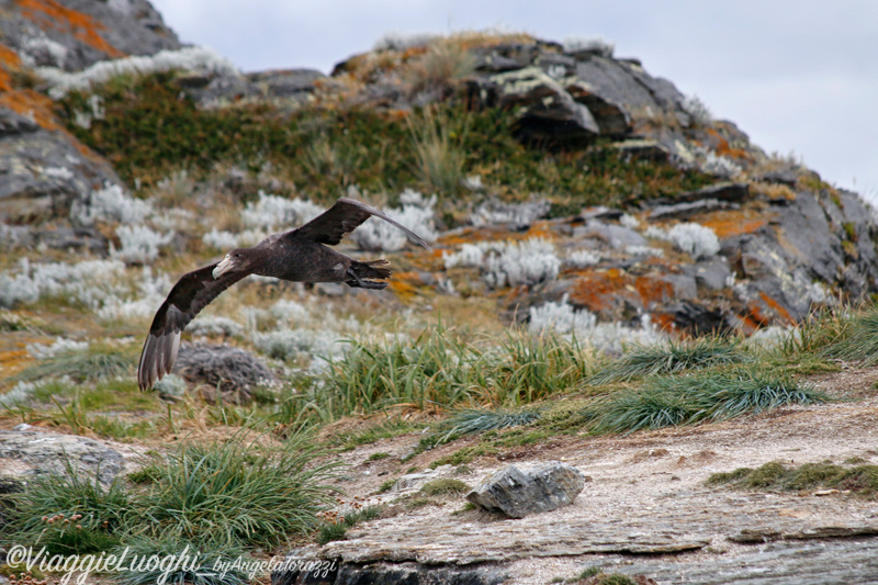 Patagonia Dec 2019 -782 Canale Beagle