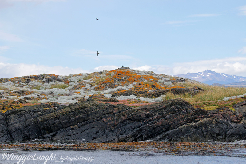 Patagonia Dec 2019 -792 Canale Beagle