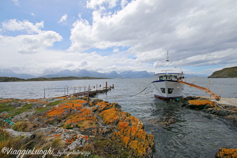 Patagonia Dec 2019 -836 Canale Beagle