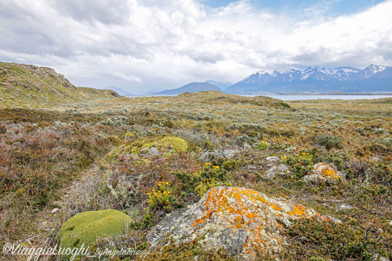 Patagonia Dec 2019 -854 Canale Beagle