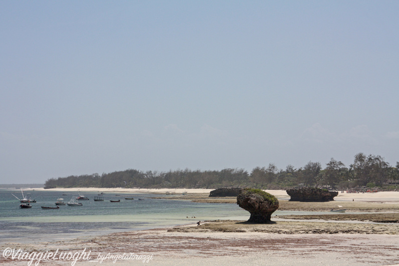 1 Kenya _0827 Watamu