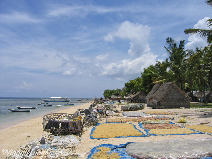 Bali Is. Lebongang 8