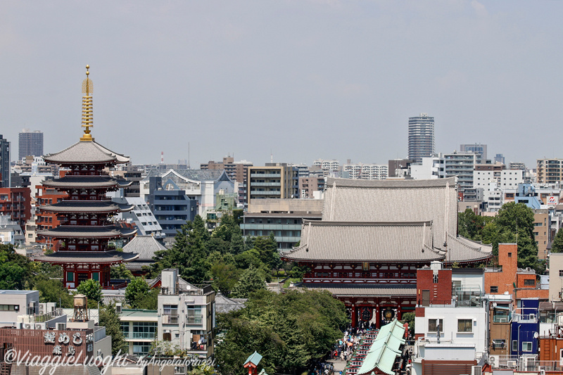 Giappone Aug 2019-1233 Tokyo