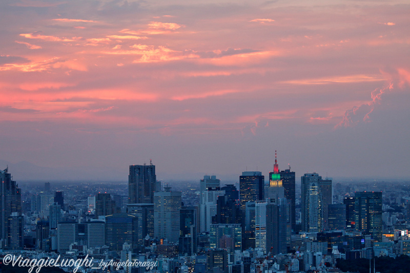 Giappone Aug 2019-1387 Tokyo