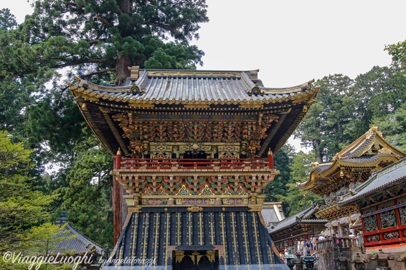 Giappone Aug 2019-1552x(298) Nikko