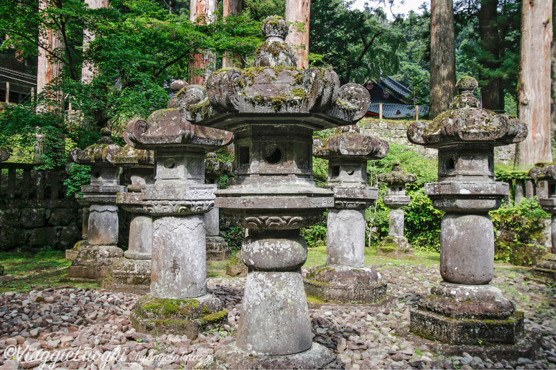 Giappone Aug 2019-1556x( 528 )Nikko