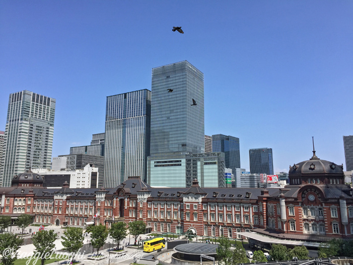 Giappone Aug 2019-50 Tokyo