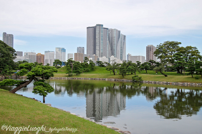 Giappone Aug 2019-955 Tokyo