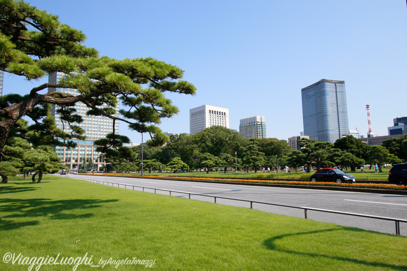 Giappone Aug 2019-98 Tokyo