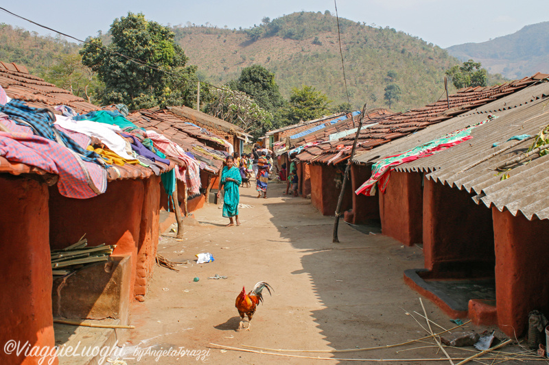 India Orissa Feb 2018-2156