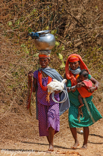 India Orissa Feb 2018-2524 Koraput